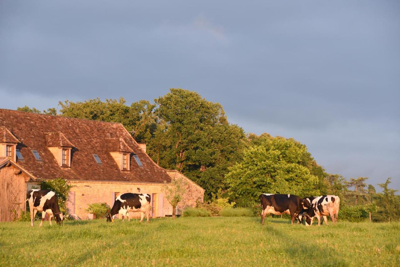 Chambre D'Hotes La Ferme De La Croix. Saint-Avit-Senieur Luaran gambar