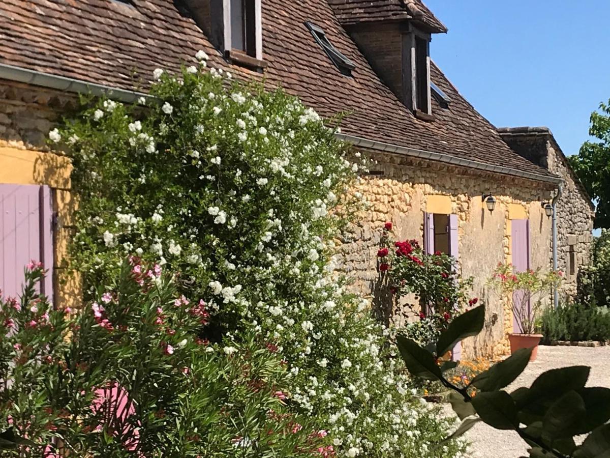 Chambre D'Hotes La Ferme De La Croix. Saint-Avit-Senieur Luaran gambar